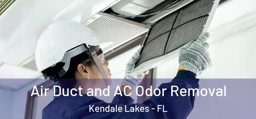  Air Duct and AC Odor Removal Kendale Lakes - FL