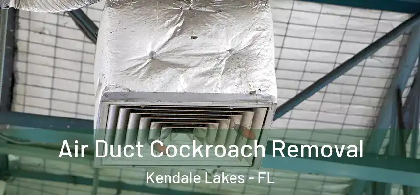  Air Duct Cockroach Removal Kendale Lakes - FL