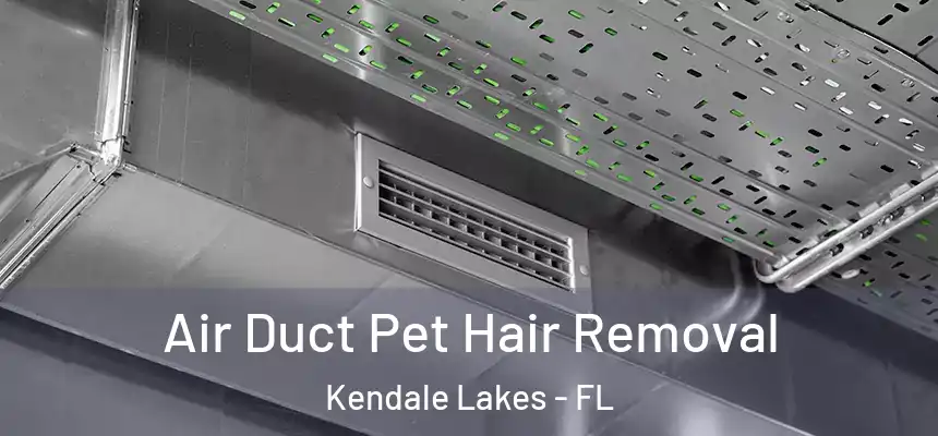 Air Duct Pet Hair Removal Kendale Lakes - FL