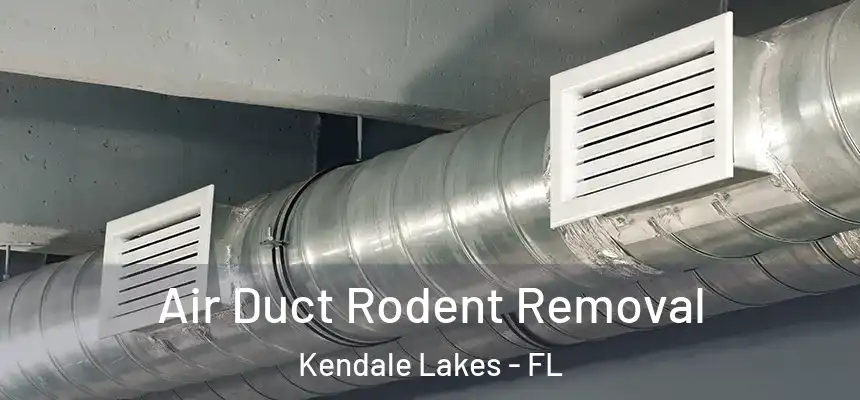  Air Duct Rodent Removal Kendale Lakes - FL