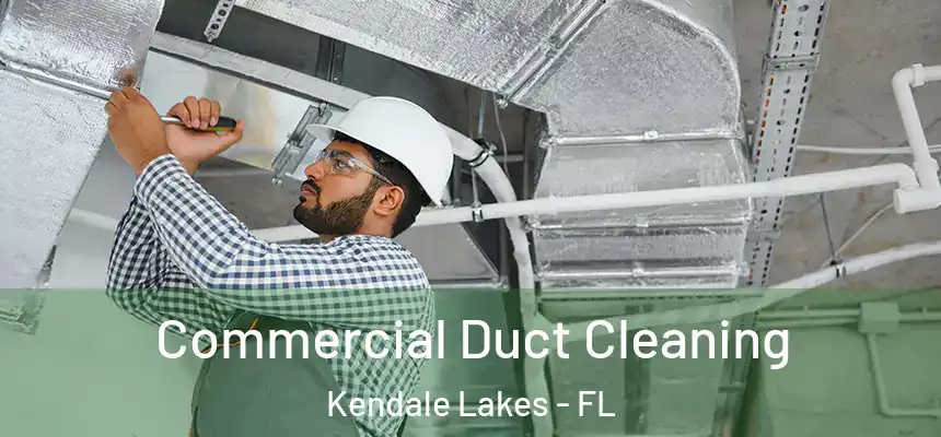  Commercial Duct Cleaning Kendale Lakes - FL