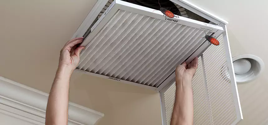 Preventive Cockroach-Proofing for Ducts in Kendale Lakes