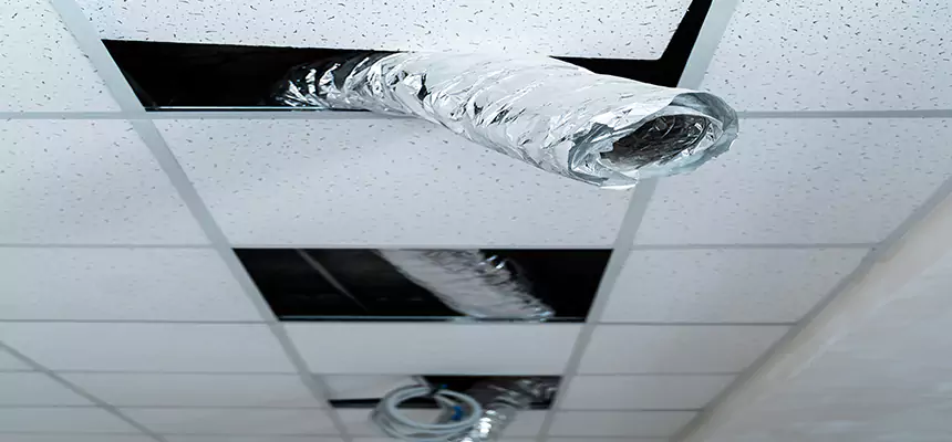 Our Air Duct Pet Hair Removal Services in Kendale Lakes, FL