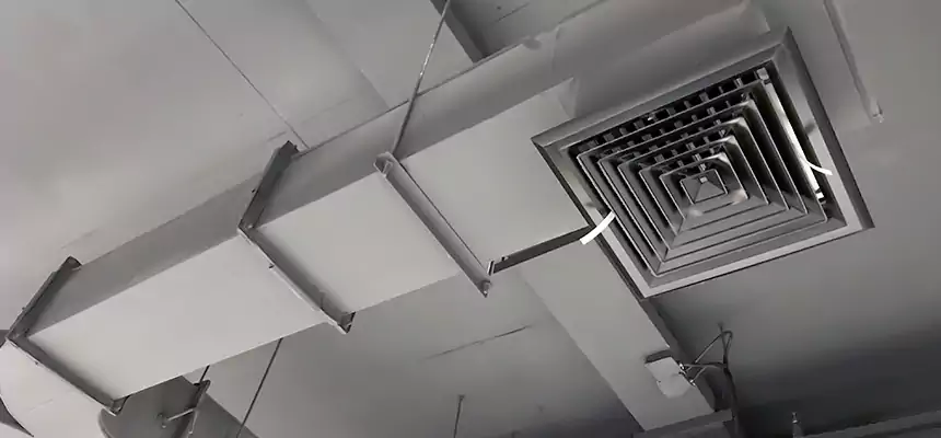 Restorative Allergy Relief Vent Cleaning – Coil, Blower & Housing Detail in Kendale Lakes