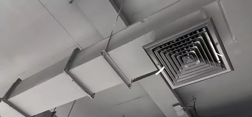 Our Rodent Droppings In Vents Services in Kendale Lakes, FL