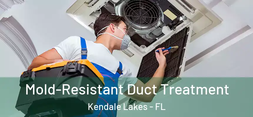  Mold-Resistant Duct Treatment Kendale Lakes - FL