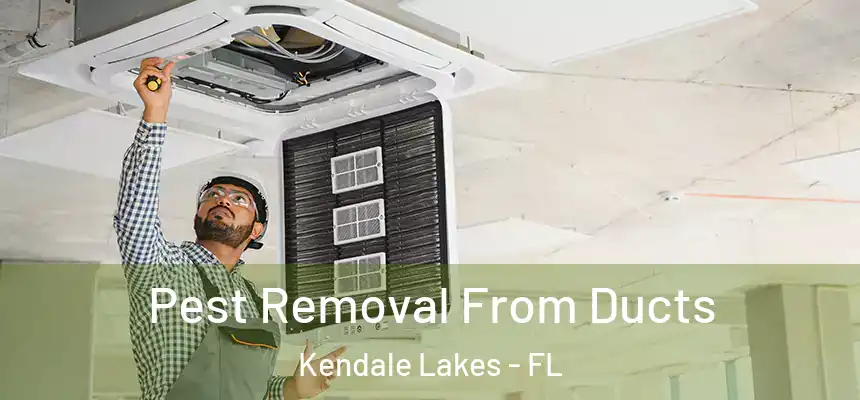  Pest Removal From Ducts Kendale Lakes - FL