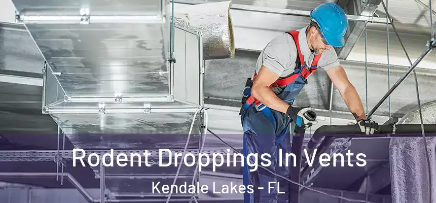  Rodent Droppings In Vents Kendale Lakes - FL