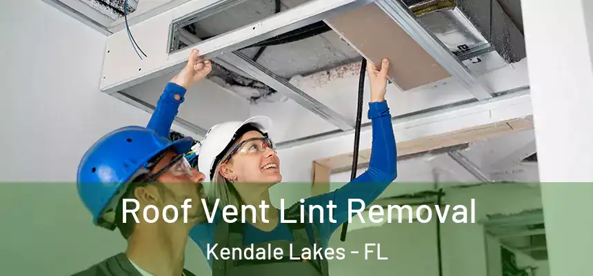  Roof Vent Lint Removal Kendale Lakes - FL