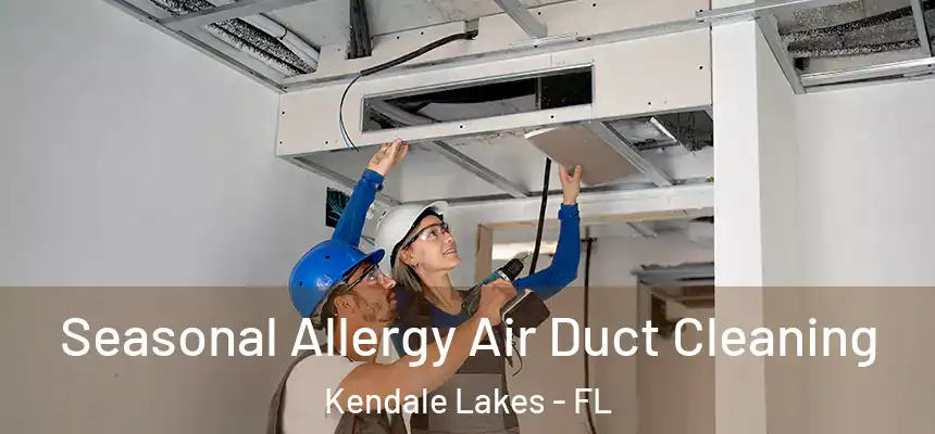  Seasonal Allergy Air Duct Cleaning Kendale Lakes - FL