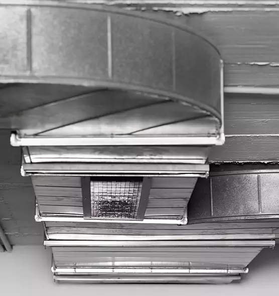 Professional Air Duct Pest Removal in Kendale Lakes, FL