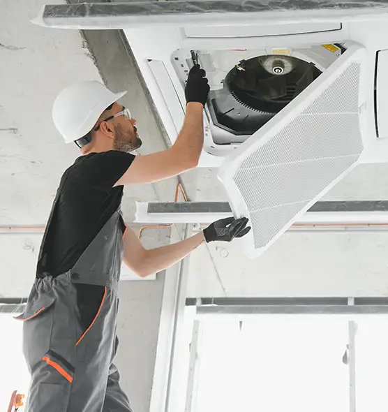 About Air Duct Rodent Removal in Kendale Lakes, FL