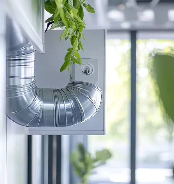 Professional Eco-Friendly Duct Cleaning Services in Kendale Lakes, FL