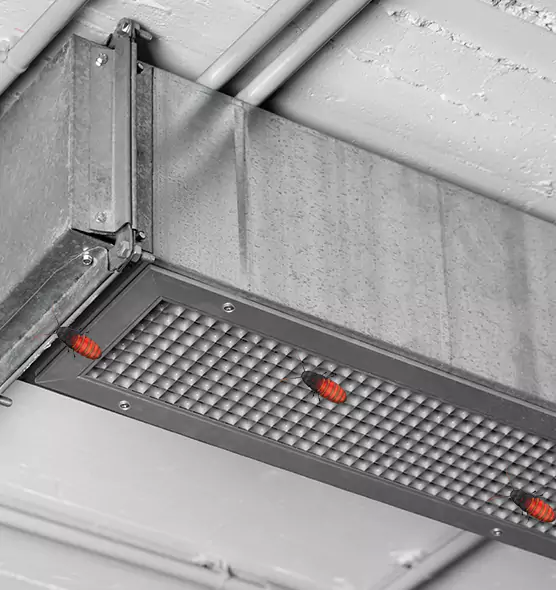 Affordable Insect Removal from Air Ducts in Kendale Lakes, FL