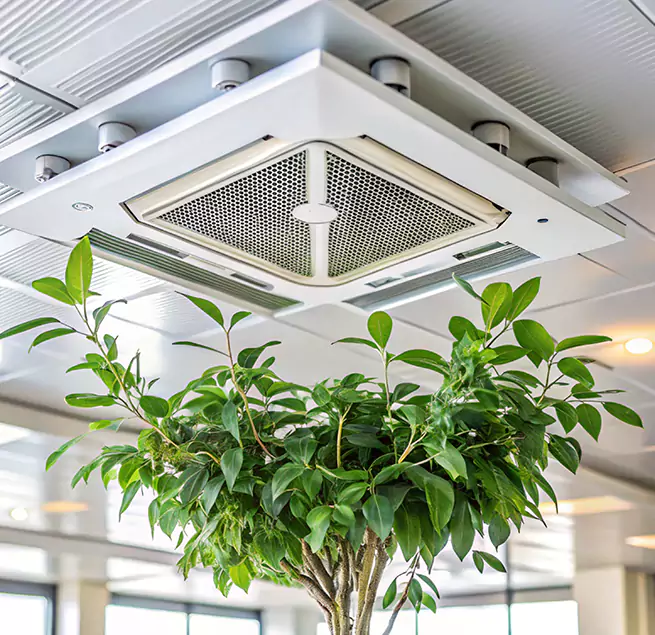 Why Homeowners & Businesses Trust Us in Kendale Lakes, FL