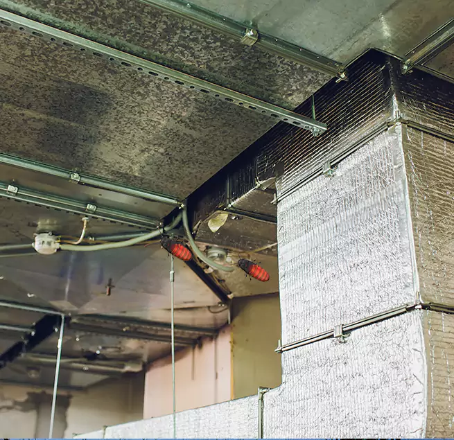 Why Homeowners & Businesses Trust Us Kendale Lakes, FL?