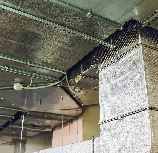 Why Homeowners & Businesses Trust Us in Kendale Lakes, FL?